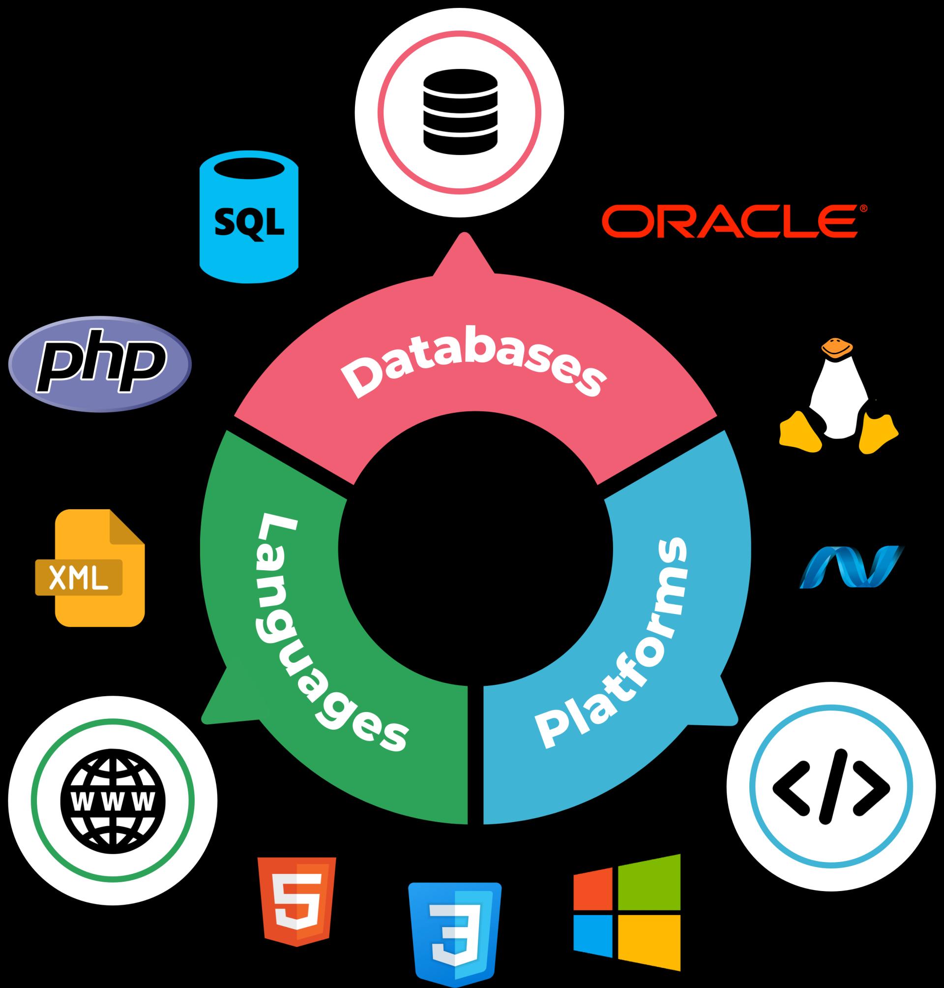 Web Application Development Company