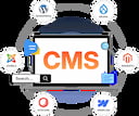 Custom CMS Development