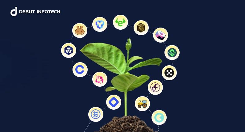 DeFi Yield Farming Platforms