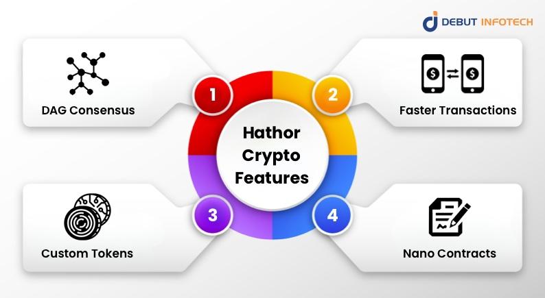 Here are a few features of HTR that make it unique from other blockchain-based solutions.