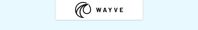 Wayve Technologies