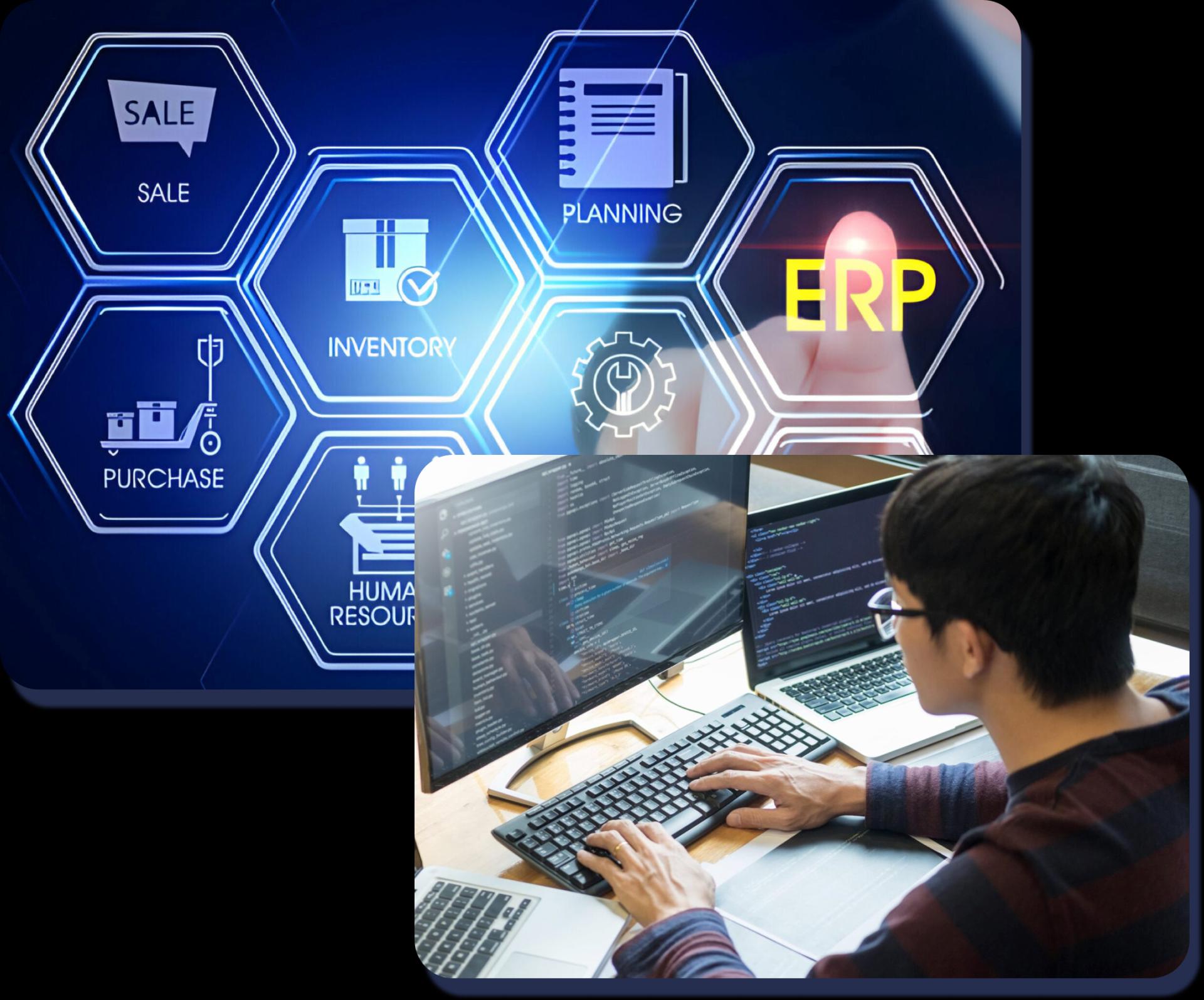 Enterprise Software Development Services