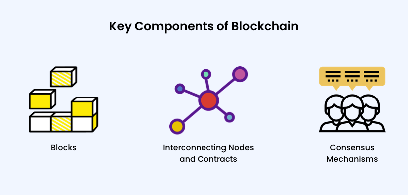 The Architectural Arrangement: Understanding Key Components of Blockchain Technology